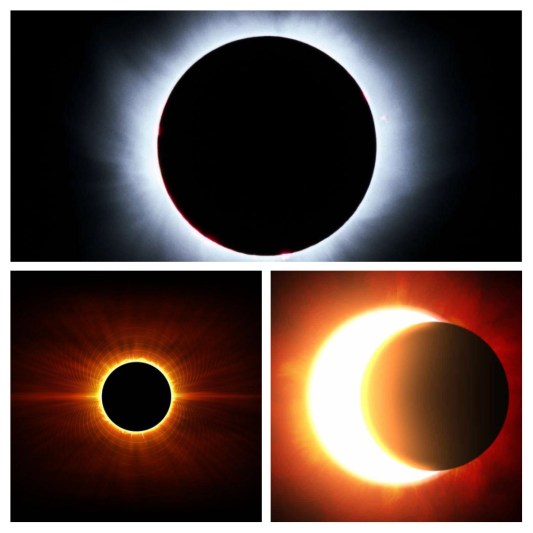 20180724_152005-COLLAGE