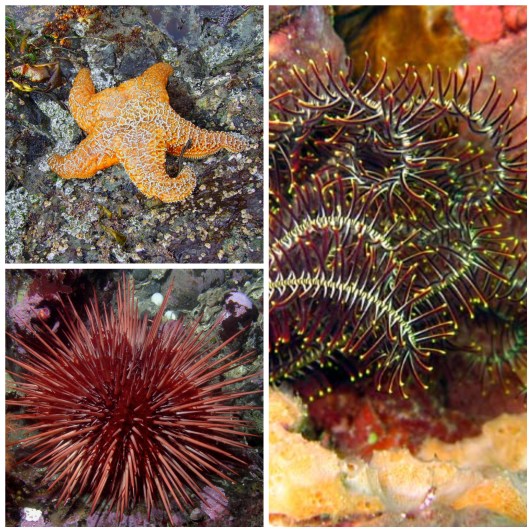 Photo Collage_20181208_205458064