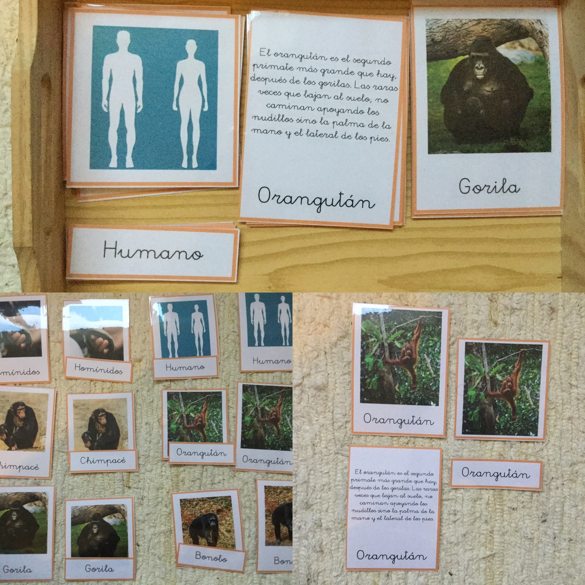 D96ED7D3-B996-4A88-B1DE-EC642E701969