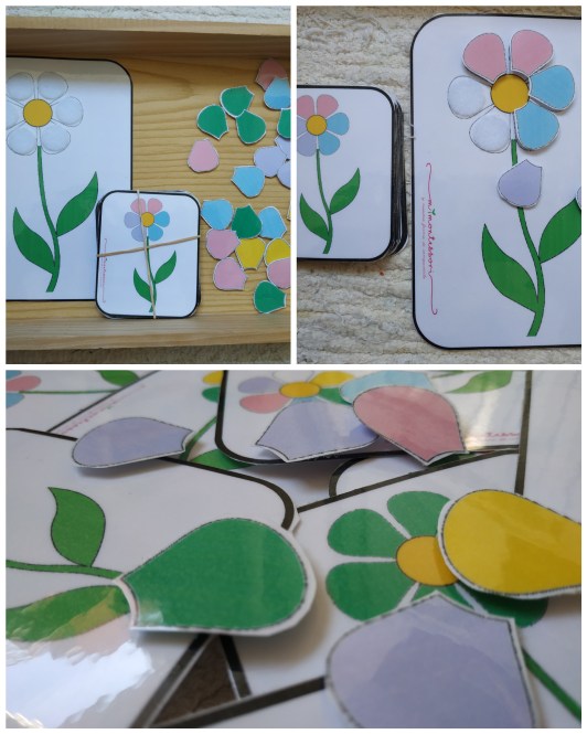 PhotoCollage_20200412_175745721