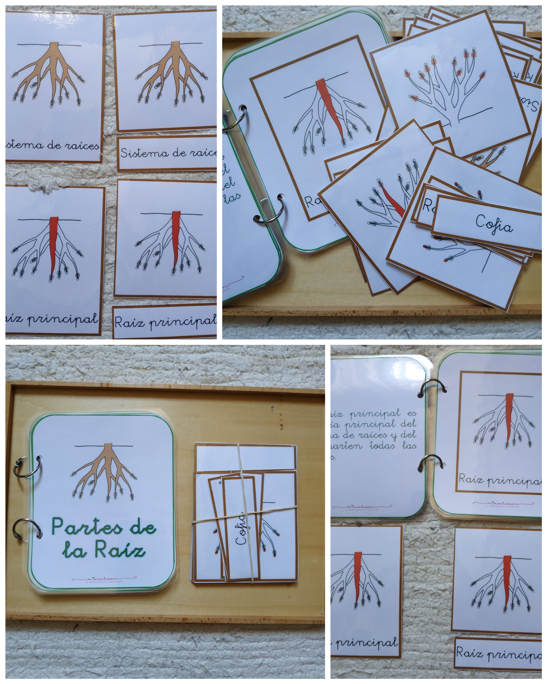 PhotoCollage_20200530_164515077