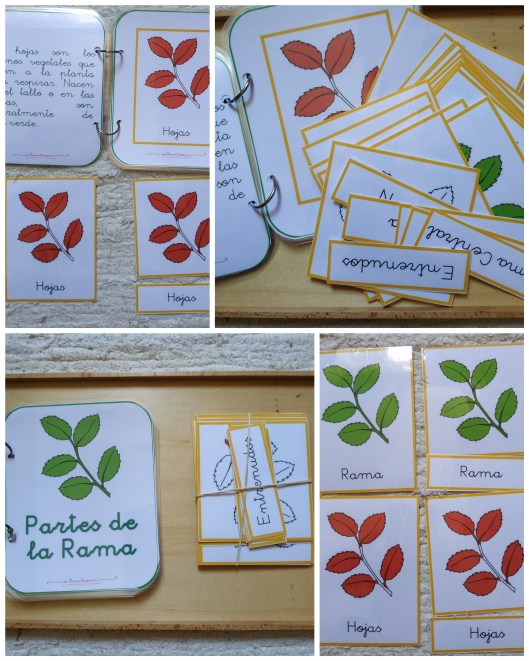 PhotoCollage_20200530_164548829