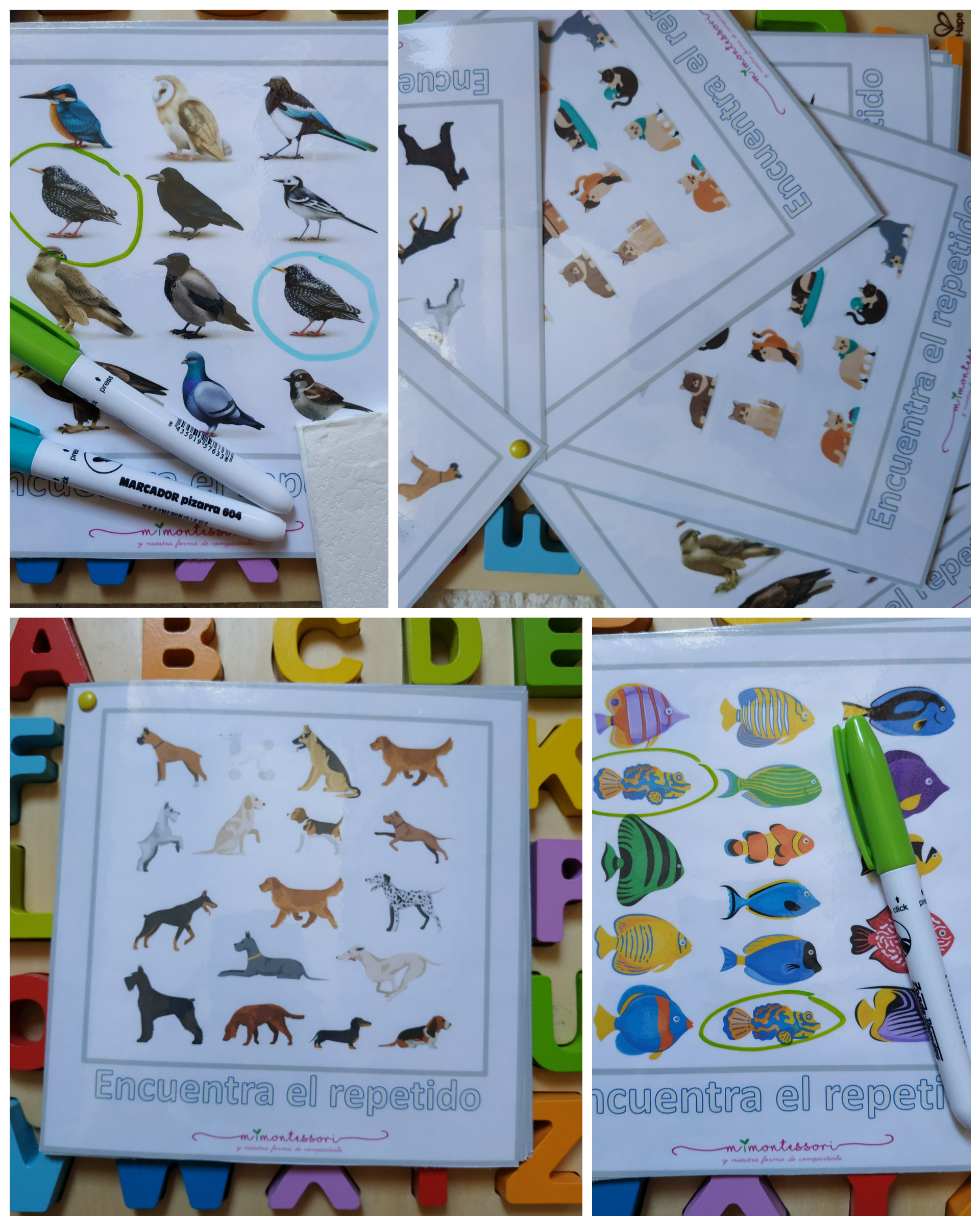 PhotoCollage_20200530_164645286