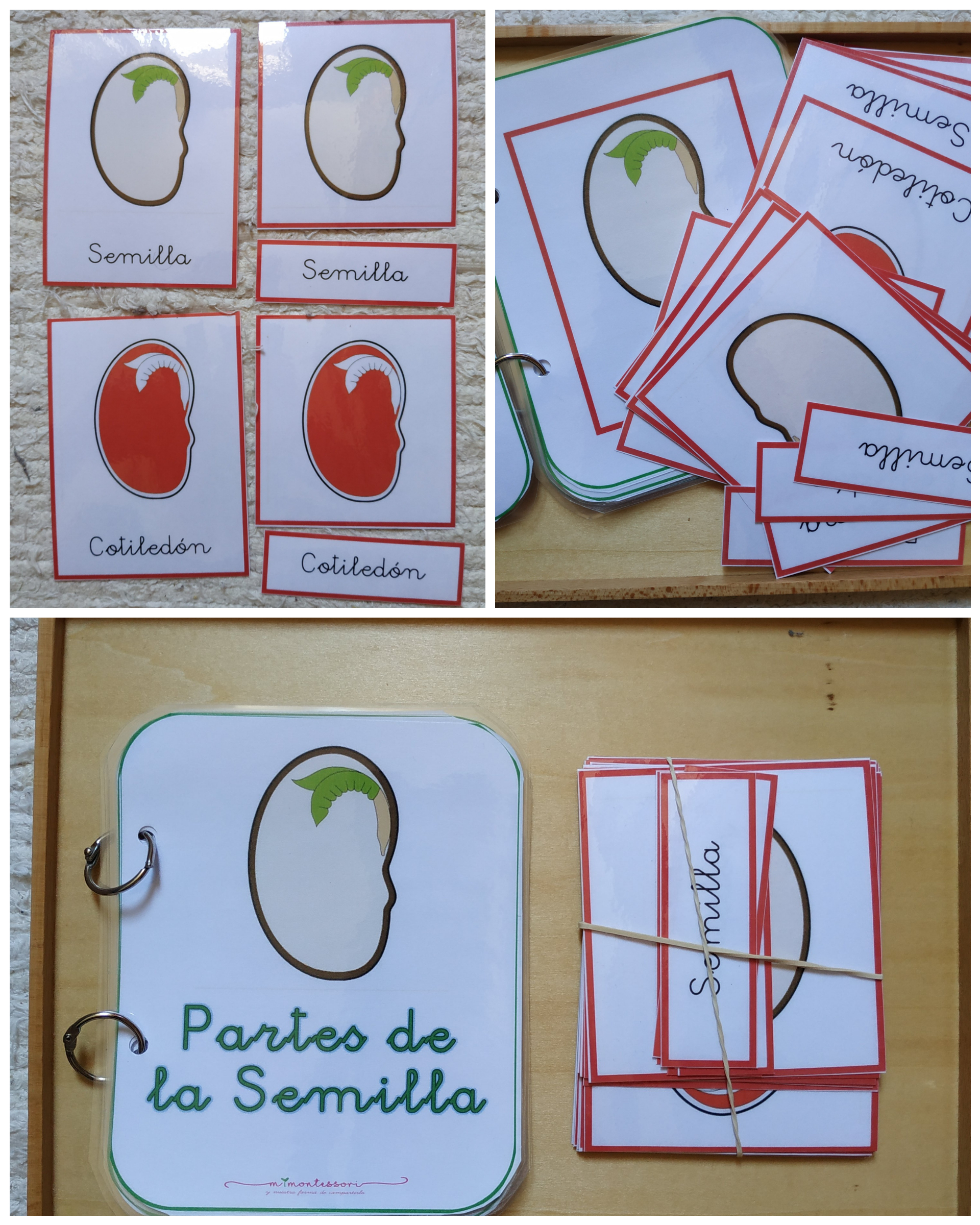 PhotoCollage_20200530_163932390