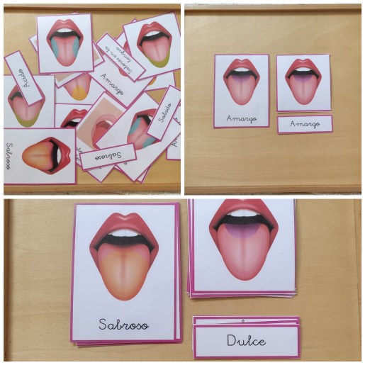 PhotoCollage_20200807_153702701