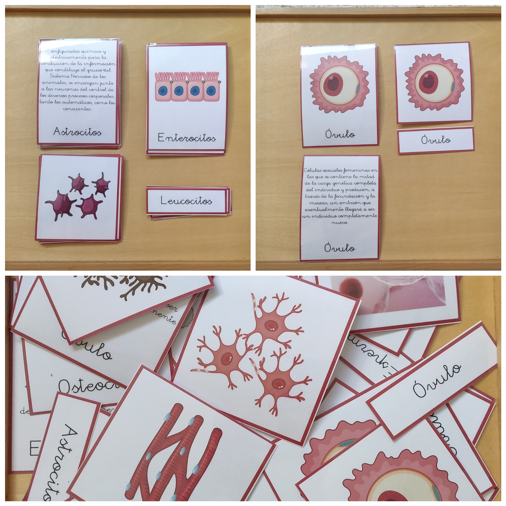 PhotoCollage_20200811_153124794